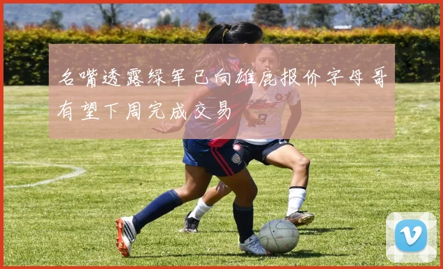 名嘴透露绿军已向雄鹿报价字母哥有望下周完成交易